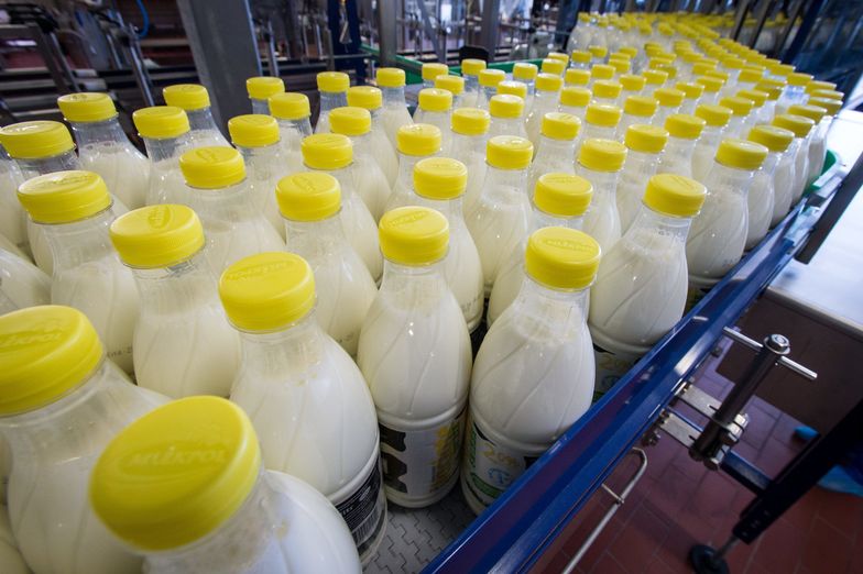 Linia produkcyjna produktów mlecznych