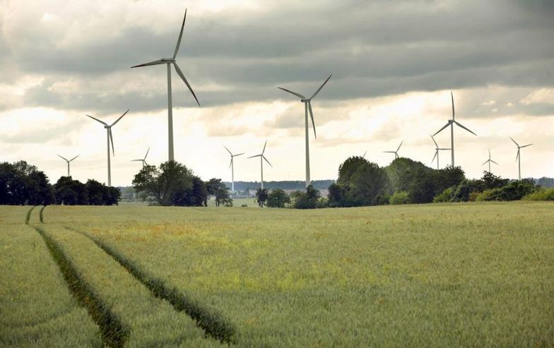 Greenpeace: Ochrona klimatu może zapewnić wzrost zatrudnienia w energetyce
