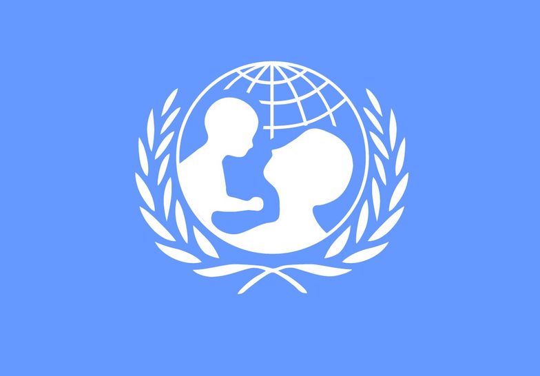 ONZ. Na czym polega działalność Organizacji Narodów Zjednoczonych?