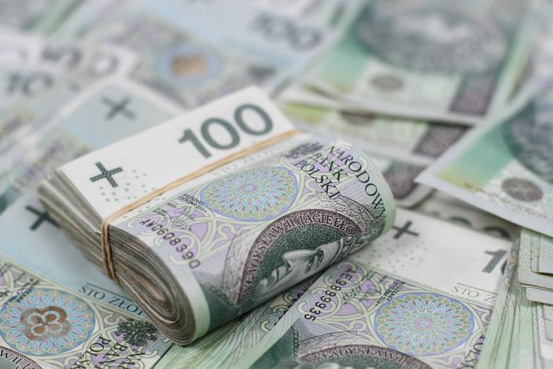 Co by się działo z kredytem hipotecznym, gdyby polską walutą było euro? Raty niższe niż w złotówkach