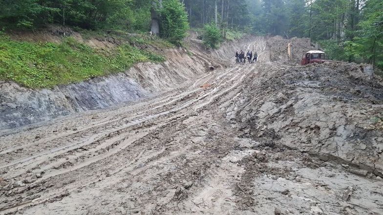 Wycinka w Bieszczadach. Miał być rezerwat przyrody, a powstają błotniste autostrady dla tirów z drewnem