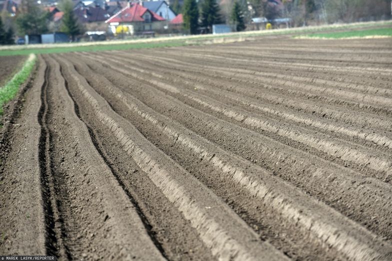 Żywność stanie się luksusowym towarem? Spełnia się najgorszy scenariusz