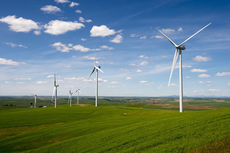 Energia wiatrowa — czy opłaca się w nią inwestować?