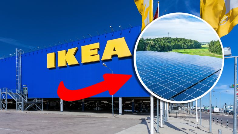 Ikea będzie produkować zieloną energię. Zbuduje farmę wiatrową i park solarny