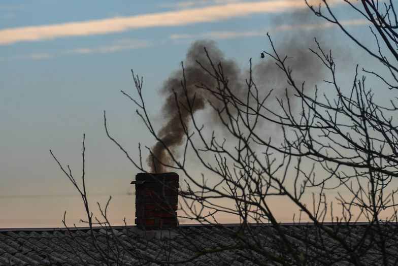 Rząd otwiera furtkę dla brudnego węgla. Ekolodzy biją na alarm: cofamy się do średniowiecza