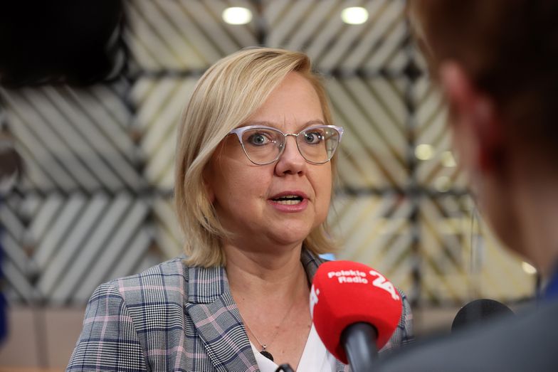 Niemcy punktują Polskę. Minister zabrała głos