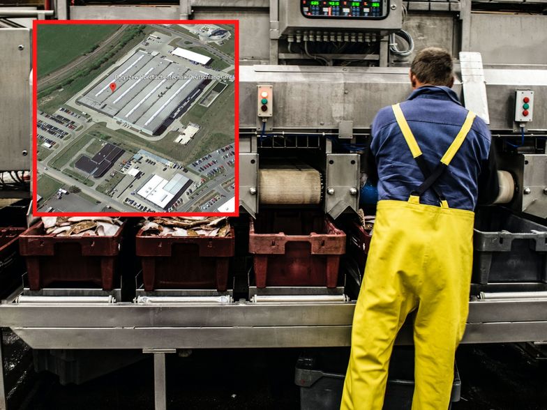 Niemiecka fabryka polskiego giganta może stanąć. Niemcy nie chcą pracować za "polskie stawki"