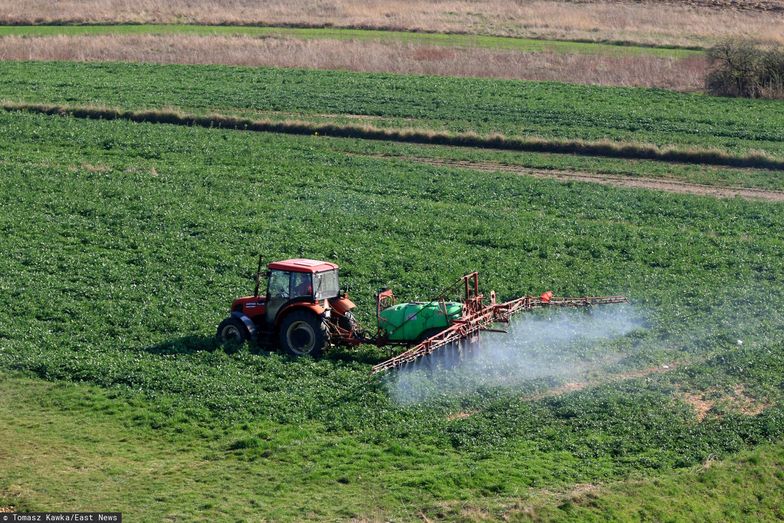 Kontrola żywności. Dopuszczalny poziom pestycydów przekroczony. Polska w europejskiej czołówce