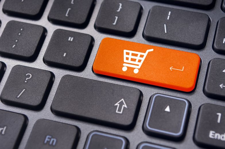 Ruszyła pierwsza polska platforma e-commerce "Polska@w sieci"