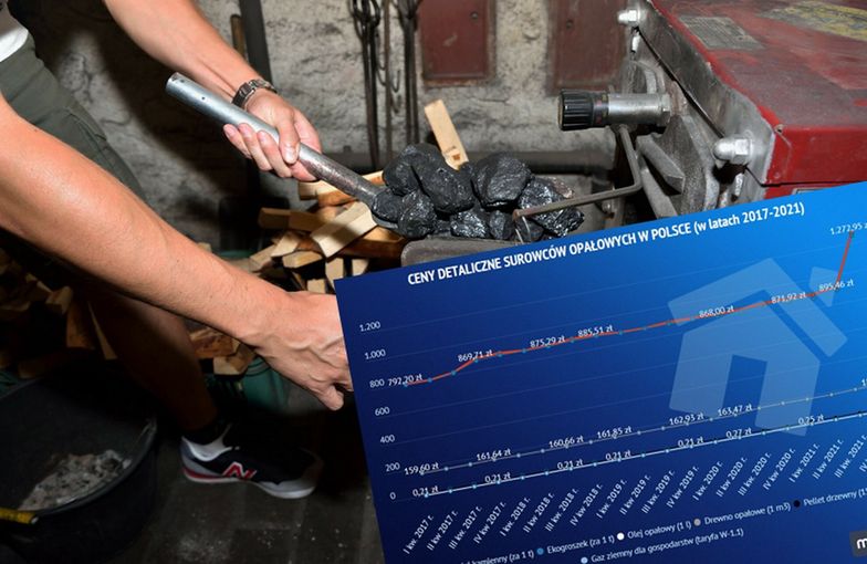 Tak rosły ceny surowców opałowych przez ostatnie lata. Gaz bije rekordy