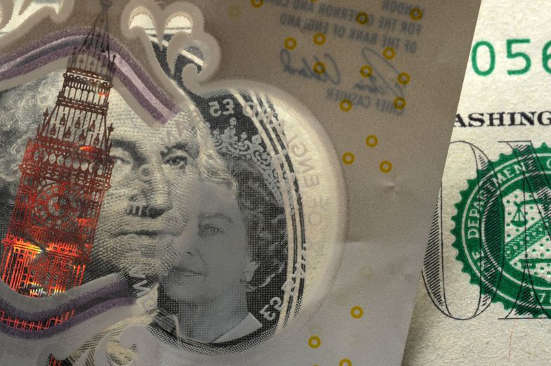 Kursy walut 14.01.2022. Piątkowy kurs funta, euro, dolara i franka szwajcarskiego