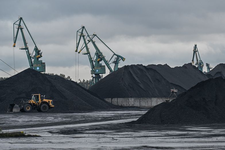 Import Węgla W 2023 R Będzie Kontynuowany Minister Moskwa Kolumbia Głównym Dostawcą Moneypl 7178