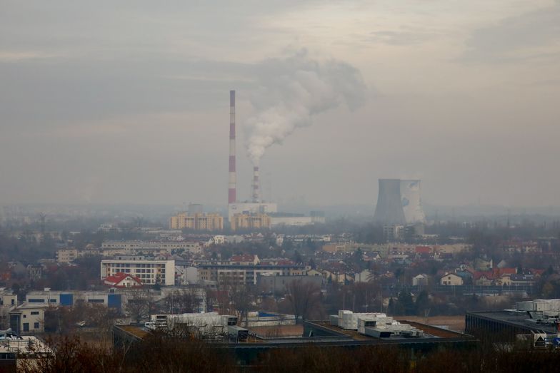 Powietrze bez smogu? Połowa Polaków jest za zakazem palenia węglem
