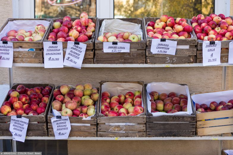 Polska jest największym producentem jabłek w Europie. Czas na Kolumbię?