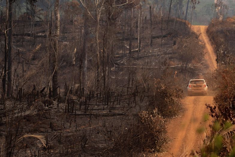 Amazonia i Afryka Środkowa w ogniu. Na zdj. widok strefy leśnej Amazonii zniszczonej przez pożary w stanie Rondonia, Brazylia (25.08.19 r.)