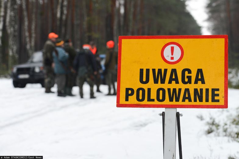 Argument, że myśliwi są zobowiązani do odstrzału specustawą, przygotowaną w ramach walki z wirusem ASF, nie podziałał na fiskusa.