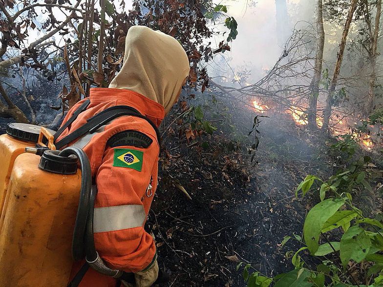Amazonia. Brazylia zmaga się z gigantycznymi pożarami lasów Amazonii. Państwa G7 zapowiedziały już pomoc
