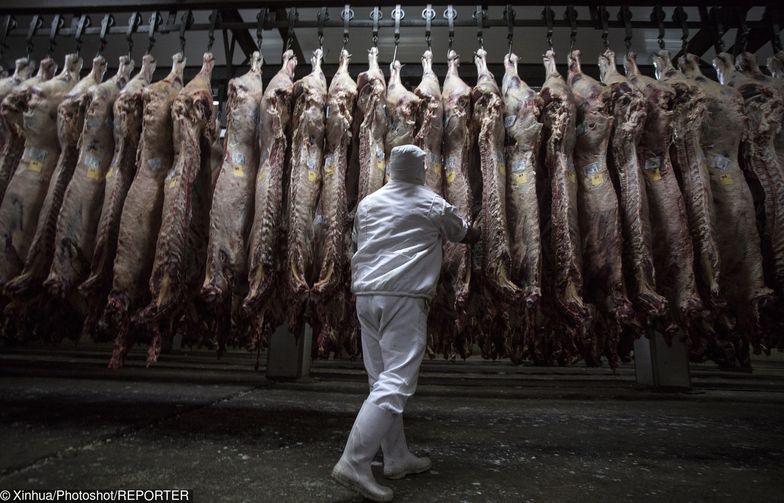Czeskie sankcje na polskie mięso obowiązują od 21 lutego.
