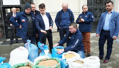 "Węgiel miał priorytet". Mówi, co działo się z wagonami zboża