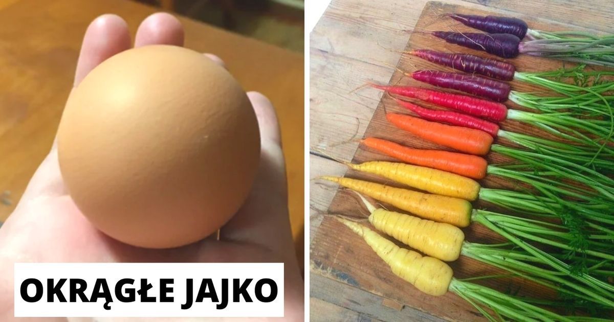 20 zdjęć perfekcyjnego jedzenia, które wywołają głód u każdego