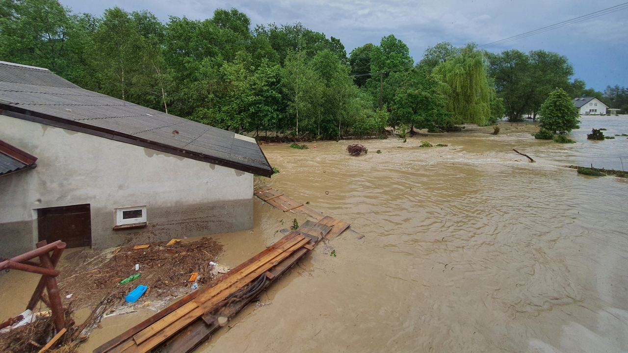 Łukasz Stec przez powódź stracił dobytek życia. Marta Manowska wspiera zbiórkę
