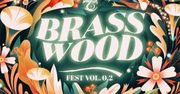 Brasswood Fest. Plejada gwiazd wystąpi w Operze Leśnej: Mikromusic, Wojciech Waglewski, L.U.C., Kasia Lins