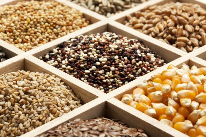 grainsassorted_ORIGINAL