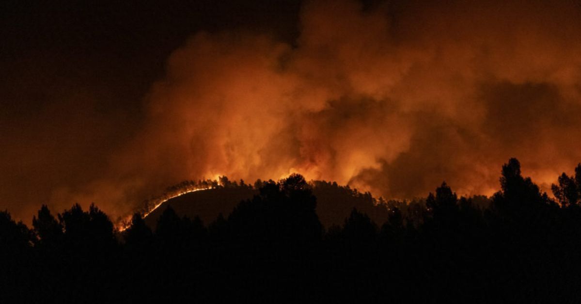 Hiszpania zmaga się z kolejnym pożarem lasu: apel o działania na rzecz ochrony środowiska