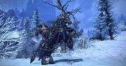 TERA za darmo od 5 lutego. Ktoś ma ochotę zanurzyć się w świat MMO?