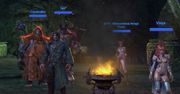 TERA - test 20 poziomu