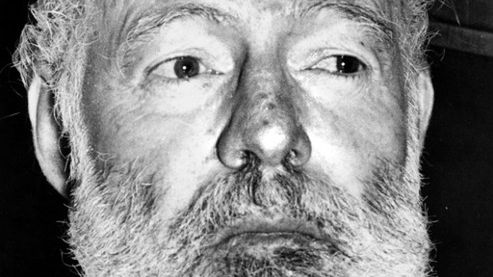 Niedźwiedź na uwięzi