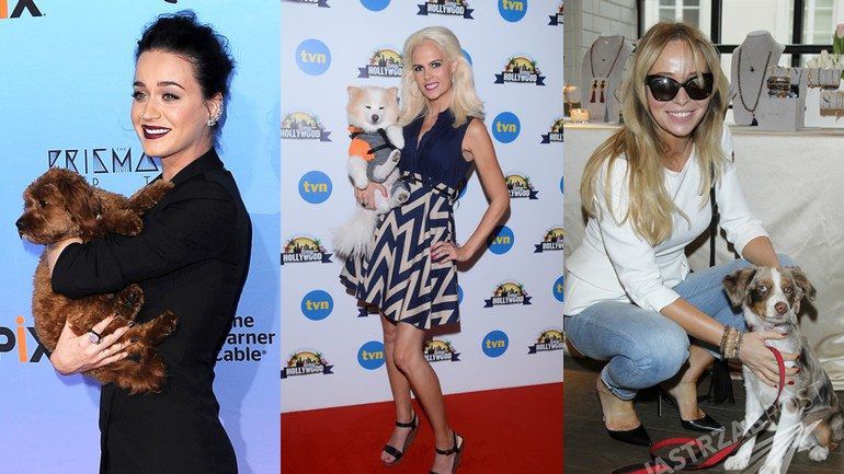 Gwiazdy z psem na imprezie (fot. ONS, AKPA)