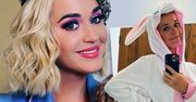 Przebrana za króliczka Katy Perry pokazuje zaokrąglony brzuszek. To już 7 miesiąc