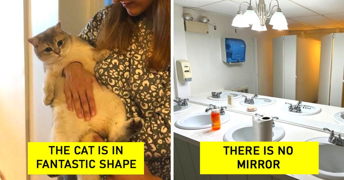15 Photos That Will Make You Question What You See