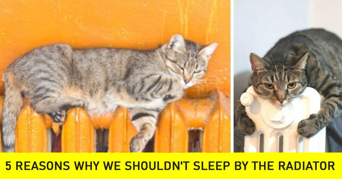 5 Ways in Which We Harm Our Bodies Sleeping in Bedrooms With the Radiators On