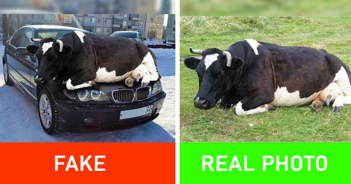 13 Very Popular Photos That Turned Out to Be Fakes