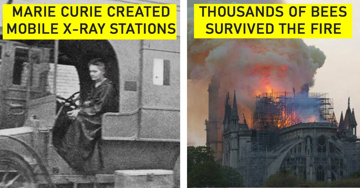 23 Fascinating Facts from All over the World. Something You Have Never Heard Of!