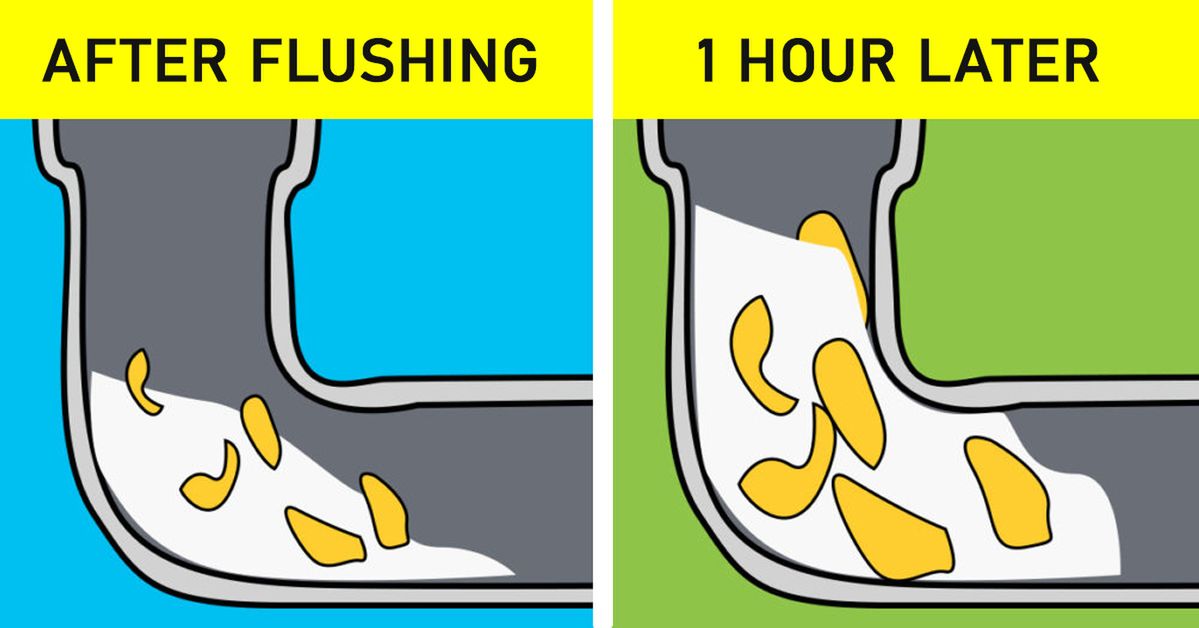 8 Things You Should Not Flush Down the Toilet
