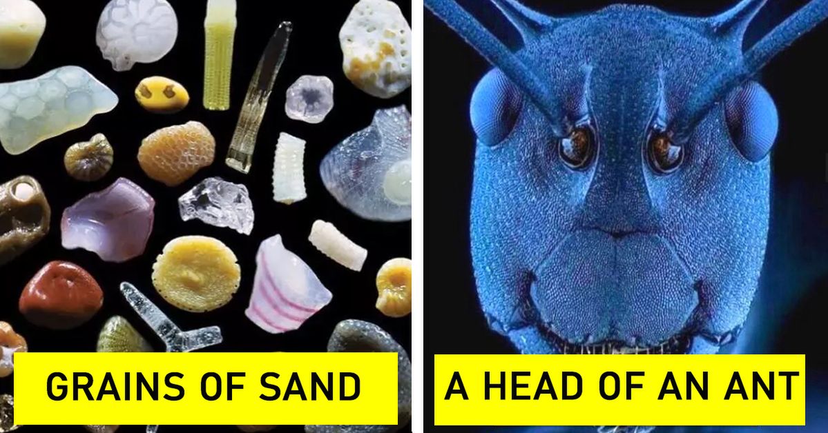 20 Microscopic Images of Common Object. You'll Never Look At These Things the Same Again