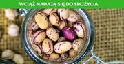 10 produktów spożywczych z zaskakującą datą ważności. Rekordzista ma tysiące lat!