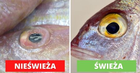 6 rzeczy na które trzeba zwrócić uwagę podczas kupowania ryby. Z nimi wybierzesz zawsze świeżą!