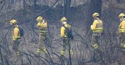 Hiszpania: Upały powyżej 45 stopni na zachodzie i południu kraju, na północy szaleją pożary