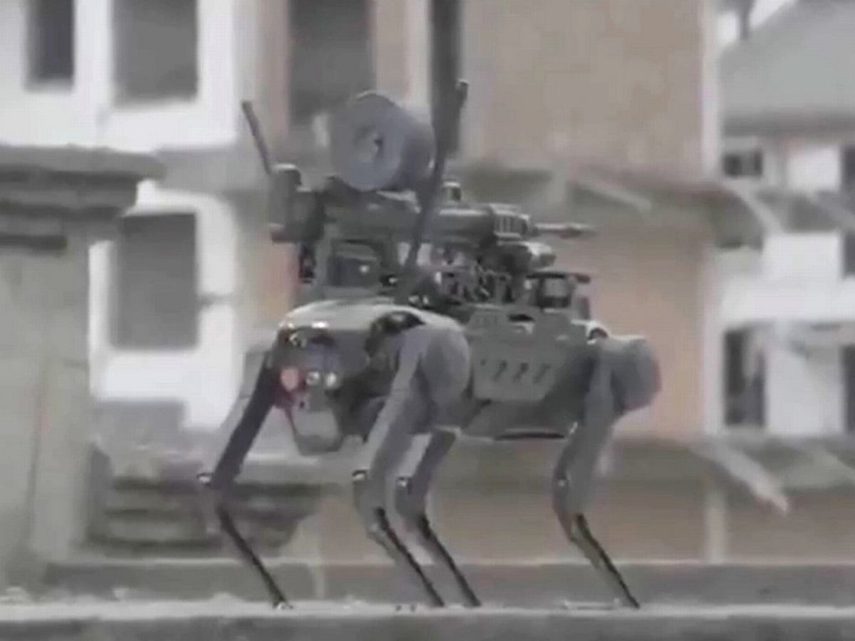 Capstrzyk Niepodległości