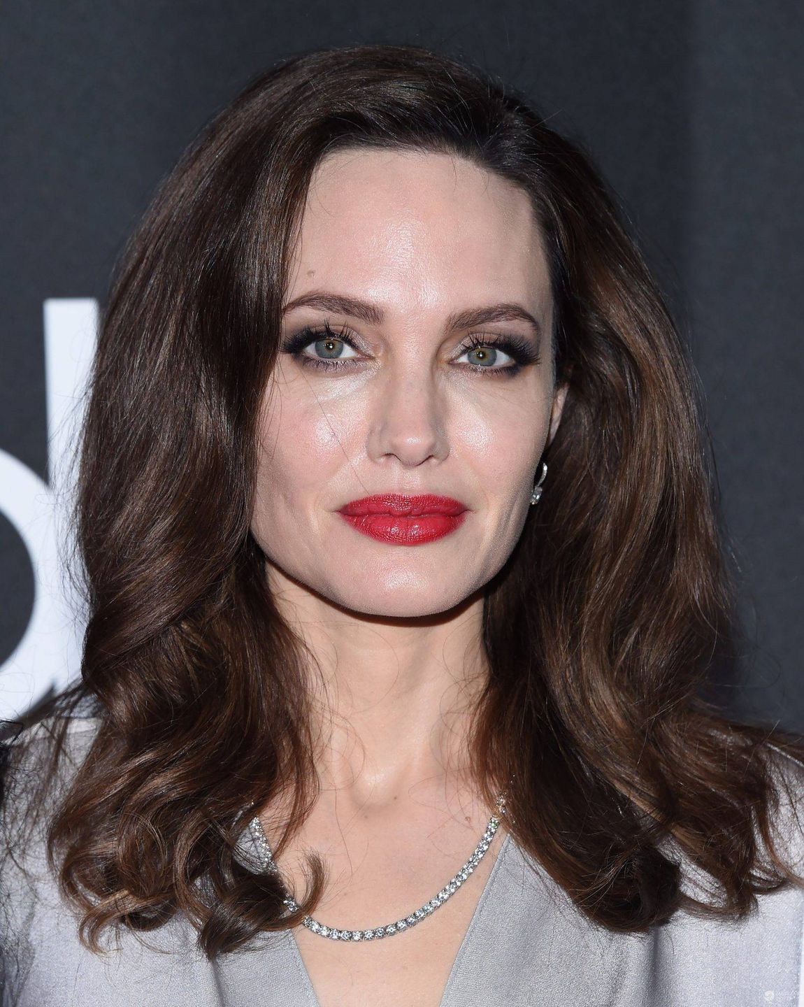 Angelina Jolie - Hollywood Film Awards 2017