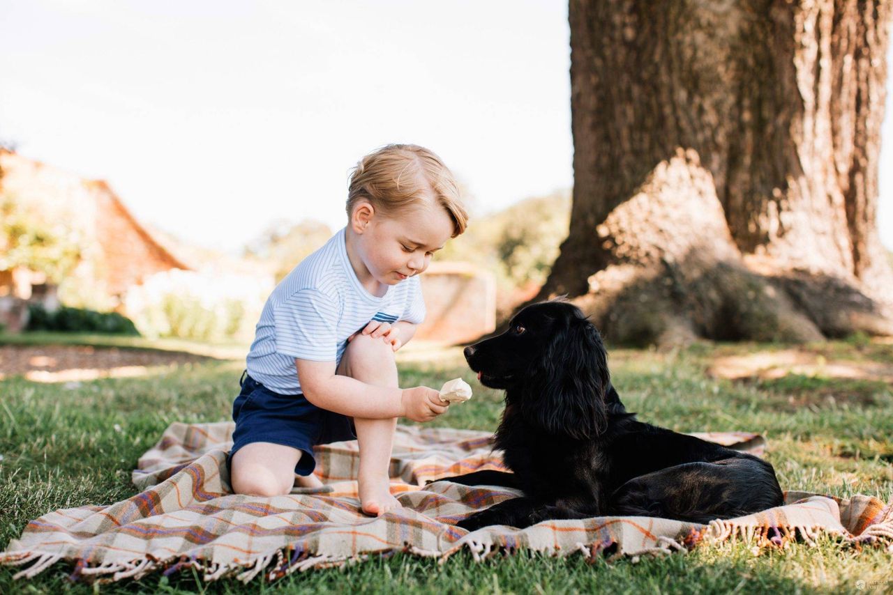 Książę George ma 3 lata! Nowe zdjęcia synowi Kate i Williama wykonał Matt Porteous (fot. ONS)