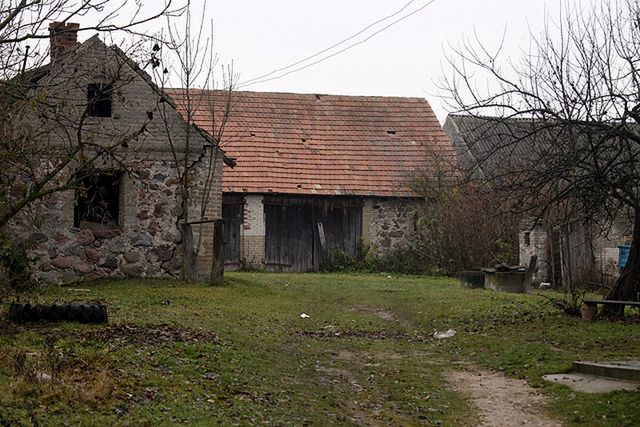 Obraz