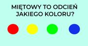 10 pytań, które sprawdzą Twoją umiejętność odróżniania kolorów. Potrafisz je rozpoznać?
