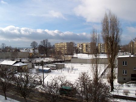 Obraz