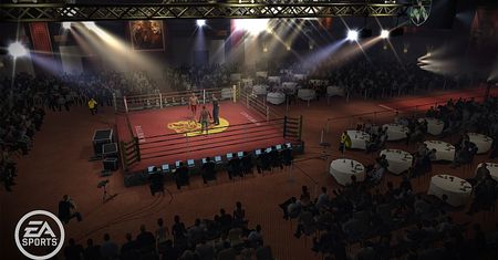 Pot i krew - galeria z EA Sports MMA