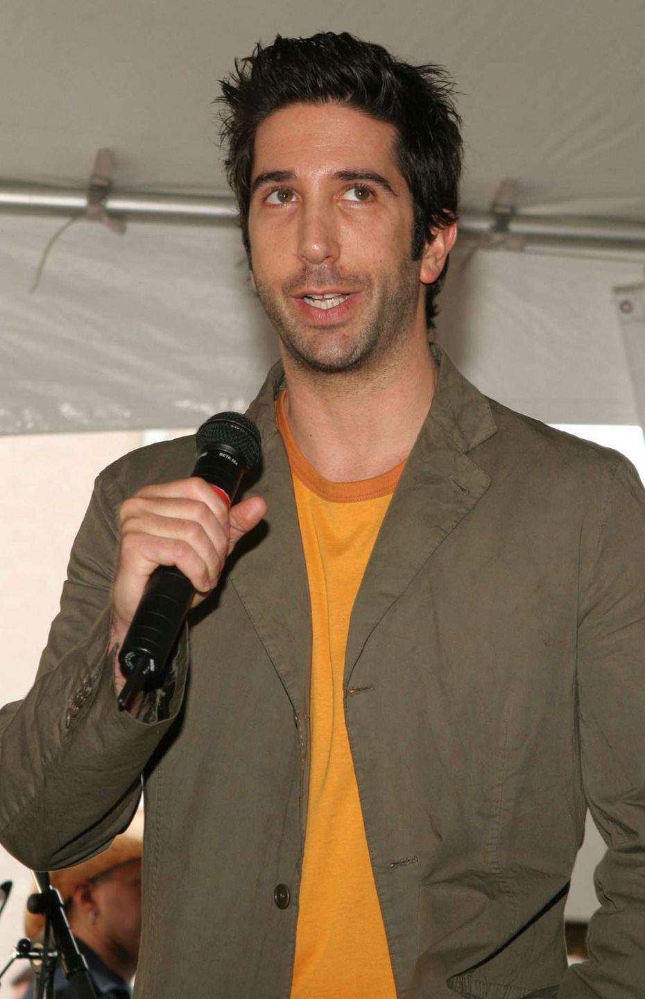 David Schwimmer złodziejem?